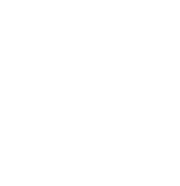 Servicios