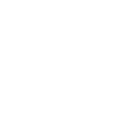 Alimentos