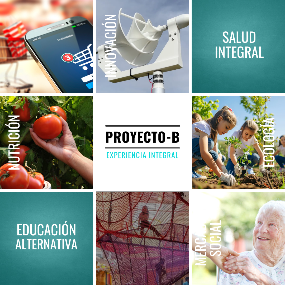 Proyecto-B