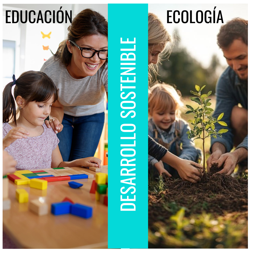 Proyecto-B